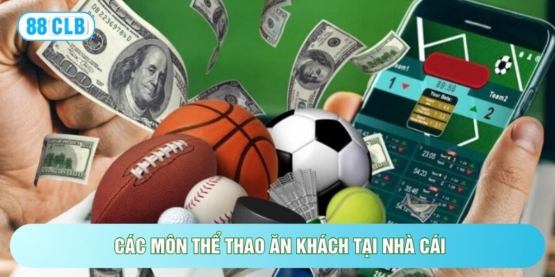 Thể Thao 88CLB - Cập Nhật 24/7 Các Thông Tin Mới Nhất Thể Thao 88CLB - Cập Nhật 24/7 Các Thông Tin Mới Nhất