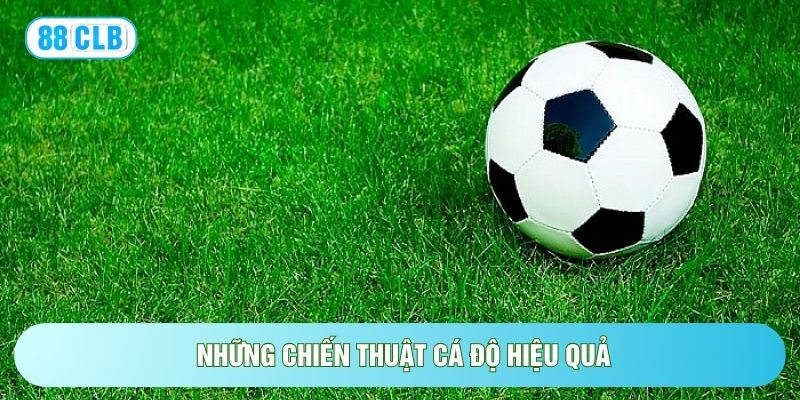 Cược Live Bóng Đá: Bí Quyết Đánh Running Thắng Lớn 2026